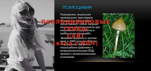 хмурый Алексин