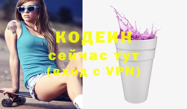 хмурый Алексин