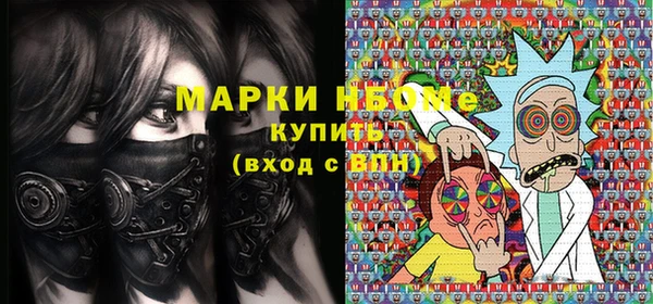 хмурый Алексин