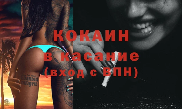 хмурый Алексин