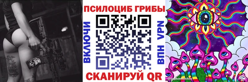 Купить  Соль-Илецк  Псилоцибиновые грибы мицелий 
